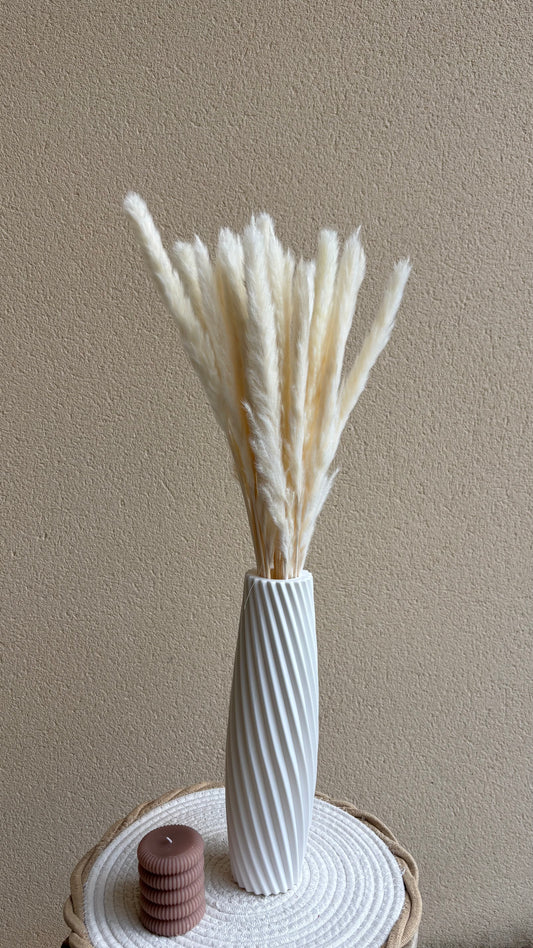 Pampas moelleux / unité