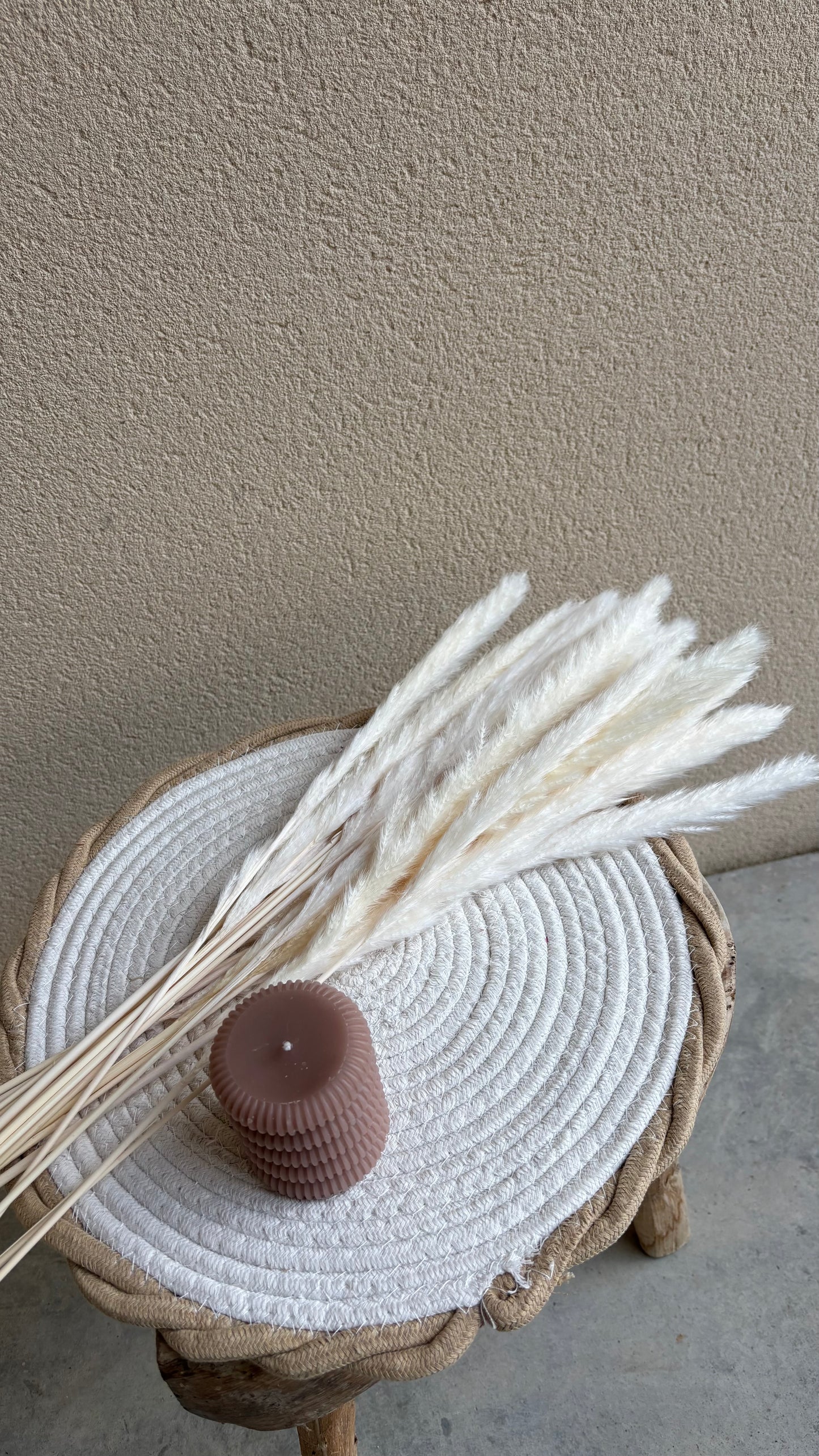 Bouquet pampas / 20