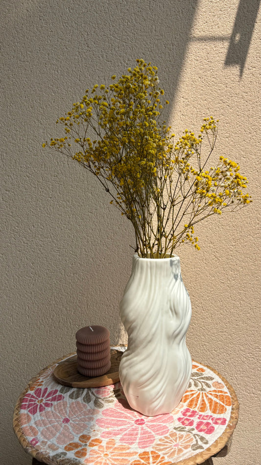 Gypsophile / unité