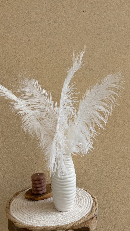 Plume d'autruche / unité