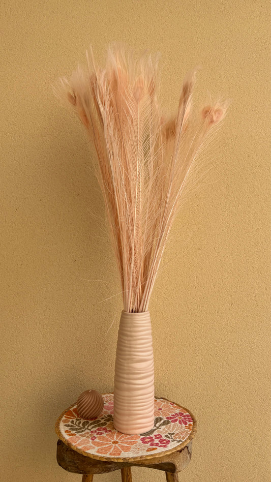 Plumes de paon / unité